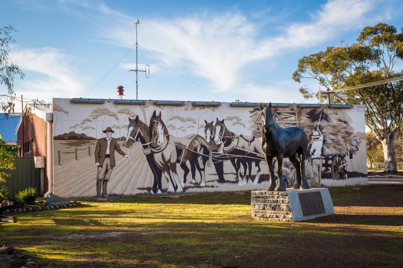 Photo of draught horses mural and sculpture on Moora.
