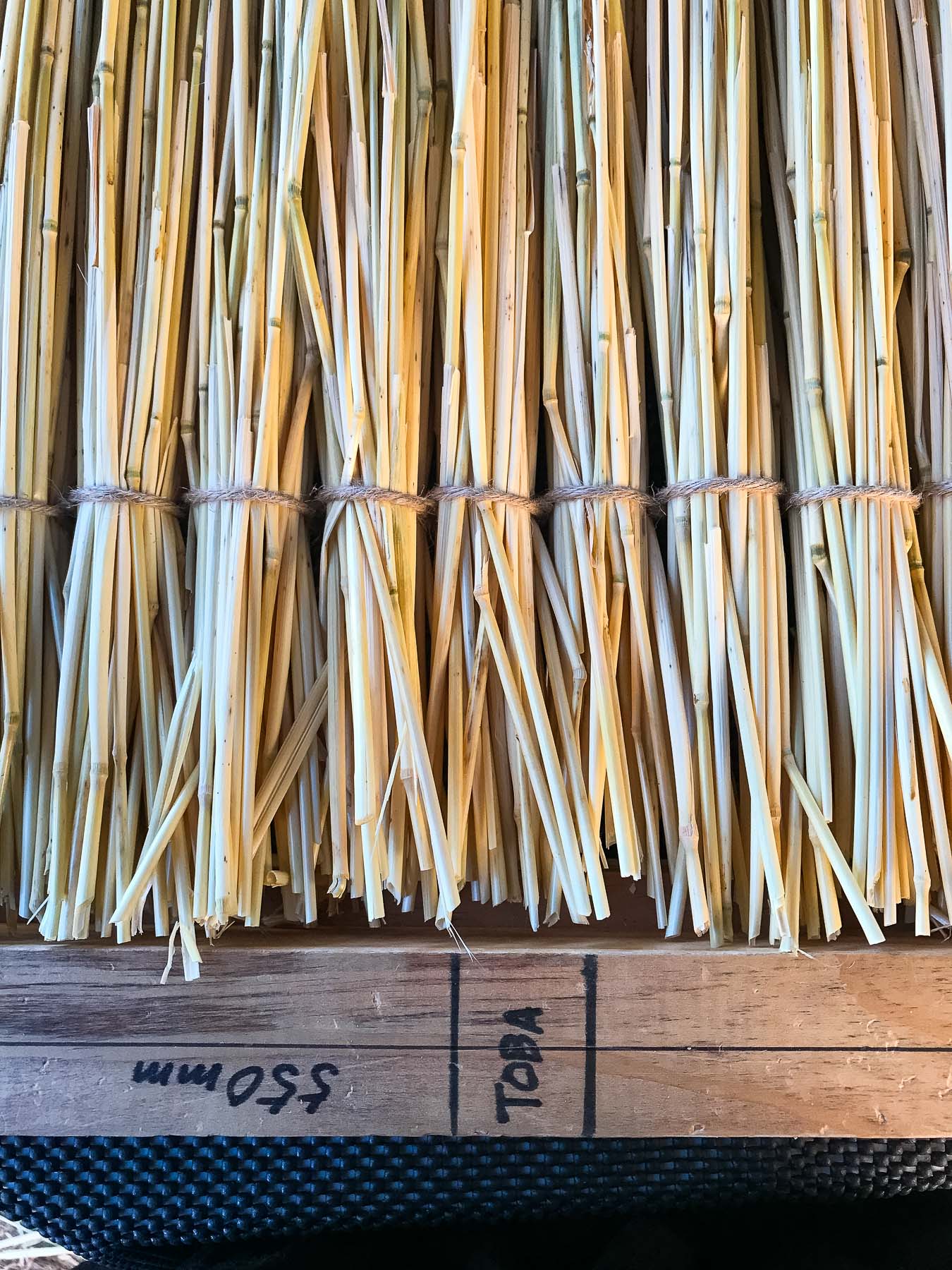 photo of Trimmed wheat stalks on toba weaving frame. Photo by Caro Telfer.